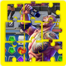 Tip to Cheats WWE Champions APK