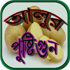 আলুর পুষ্টিগুন 아이콘