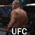 Guide: UFC 3