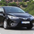 Corolla-Avensis-Rav-4 cuộc đua biểu tượng