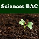 النبراس في العلوم الطبيعية BAC 2019 APK