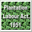 India - Plantations Labour Act, 1951