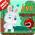Bunny Runner:adventure World
