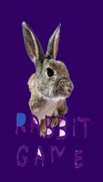 Poster rabbit