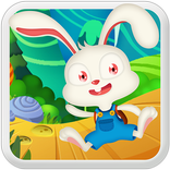 Bunny Run - Find Viallage