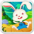 Bunny Run - Find Viallage