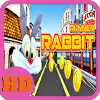 Super Subway Rush Rabbit Run icon