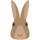 Rabbit Wallpaper HD APK
