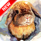 Rabbit Wallpaper ikon