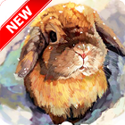 Rabbit Wallpaper icon