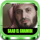 Murottal Saad El Ghamidi アイコン