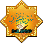 Surah Muhammad icône