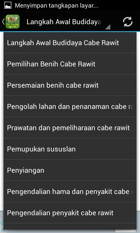 Aplikasi Cabe Rawit Apk