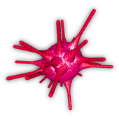 Free Cancer Risk Assessment icon