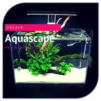 Aquascape Desain Lengkap Ekran Görüntüsü 2