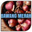 BUDIDAYA BAWANG MERAH