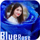 Blue rose photo frames APK