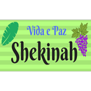 ademirjosegervasio APK