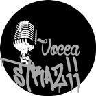 Vocea Strazii icône