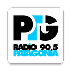 Radio Patagonia icône