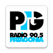 Radio Patagonia 90.5
