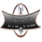 Radio Pis Pis 91.5 FM ไอคอน