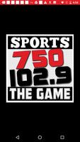 102.9/750 The Game پوسٹر