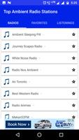 Top Ambient Radio Stations screenshot 1