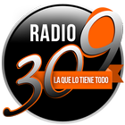 Radio 309-icoon