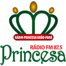 Rádio Princesa FM 87,5 - Grão Pará SC APK
