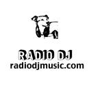 Radio DJ APK