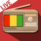 Radio Guinea Live FM Station 🇬🇳| Guinea Radios-icoon