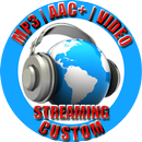 Streaming Radio TV Custom APK