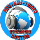 APK Streaming Radio TV Custom
