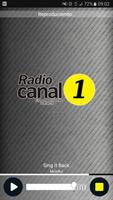 Radio Canal 1 PY capture d'écran 1