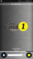 Radio Canal 1 PY 截圖 1