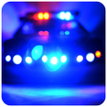 Police Light and Siren Prank