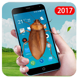Insect Screen Prank simgesi
