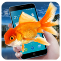 Free Fish Screen