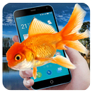 Free Fish Screen APK