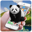 Panda Screen Prank icône