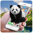 Panda Screen Prank simgesi