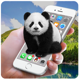 Panda Screen Prank simgesi