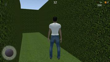 Maze Adventure 3D capture d'écran 2