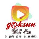 APK Göksun FM