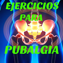 Ejercicios Caseros Pubalgia APK