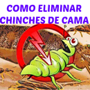 Remedios Caseros Para Chinches APK