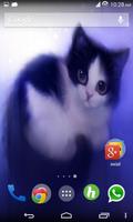 برنامه‌نما Cats Wallpapers عکس از صفحه