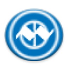 ikon Droxit - בניית אתרים