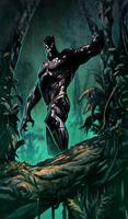 Black Panther Wallpaper HD Affiche